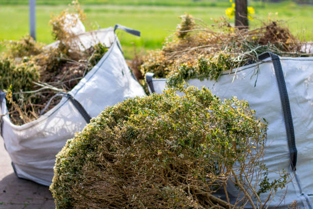 Best Yard Cleanup Services  in North Browning, MT